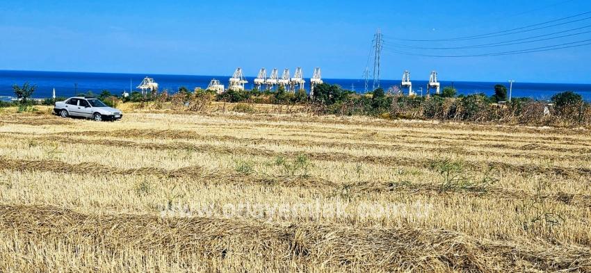 Field For sale in Barbaros Nbh. Süleymanpaşa Kumbağ - Housing Zoned - 8.500 m²