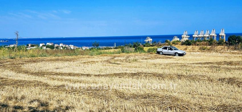 Field For sale in Barbaros Nbh. Süleymanpaşa Kumbağ - Housing Zoned - 8.500 m²