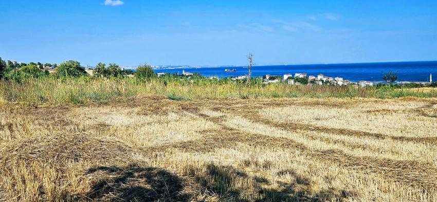 8,500 M2 Residential Land With High Profit Promise, Close To Asyaport Port