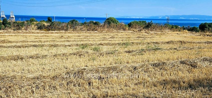 8,500 M2 Residential Land With High Profit Promise, Close To Asyaport Port
