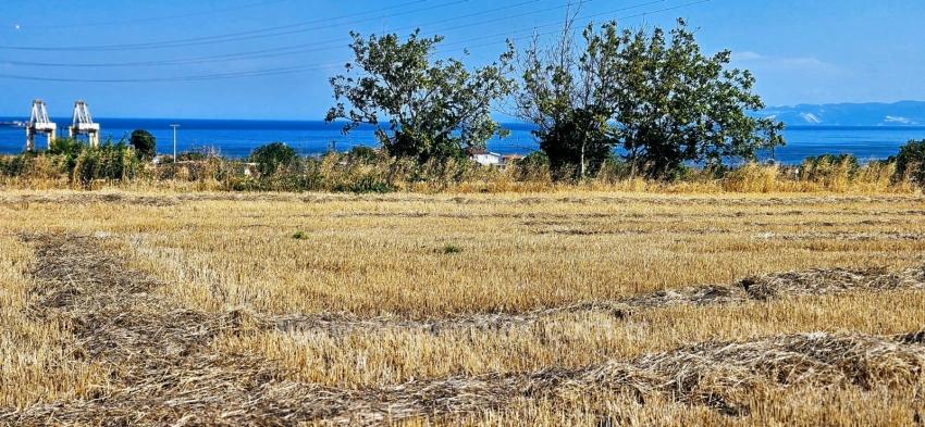 8,500 M2 Residential Land With High Profit Promise, Close To Asyaport Port