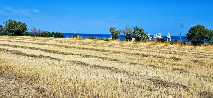 Field For sale in Barbaros Nbh. Süleymanpaşa Kumbağ - Housing Zoned - 8.500 m²