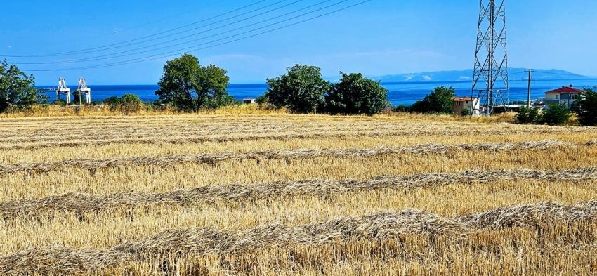 8,500 M2 Residential Land With High Profit Promise, Close To Asyaport Port