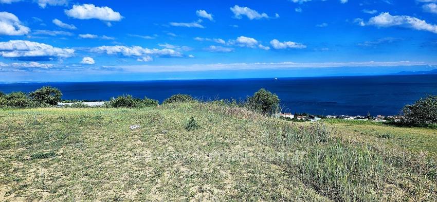 3,308 M2 Land For Urgent Sale With Full Sea View Suitable For Cooperative And Site Construction