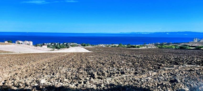 Bargain Coupon Land With Full Sea And Nature View Is Very Affordable Compared To Its Comparables