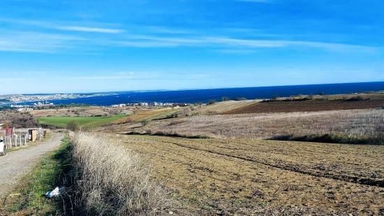 Bargain Plot Of Land With Full Sea, Nature And City Views, Zoned For 20% Two-story Construction.