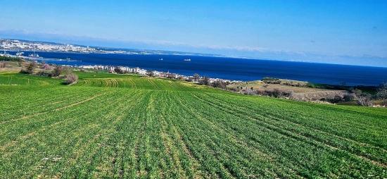 Land With Full Sea And Nature View Suitable For 75 Villa Projects In Tekirdağ Barbarosta