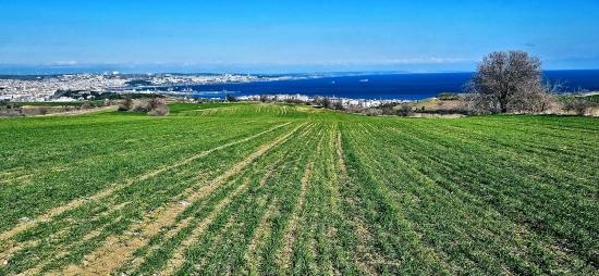 Land With Full Sea And Nature View Suitable For 75 Villa Projects In Tekirdağ Barbarosta