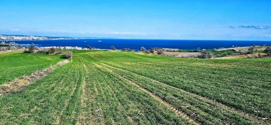 Land With Full Sea And Nature View Suitable For 75 Villa Projects In Tekirdağ Barbarosta