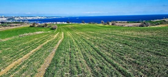 Land With Full Sea And Nature View Suitable For 75 Villa Projects In Tekirdağ Barbarosta