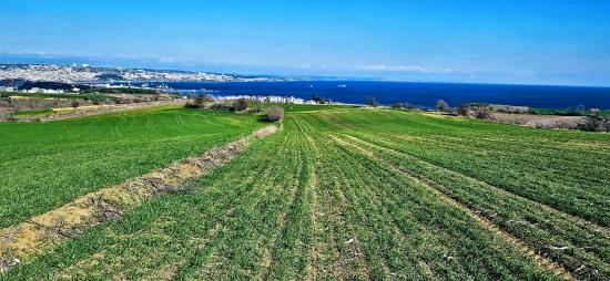 Land With Full Sea And Nature View Suitable For 75 Villa Projects In Tekirdağ Barbarosta