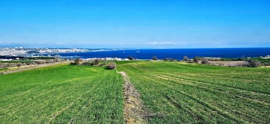 Land With Full Sea And Nature View Suitable For 75 Villa Projects In Tekirdağ Barbarosta