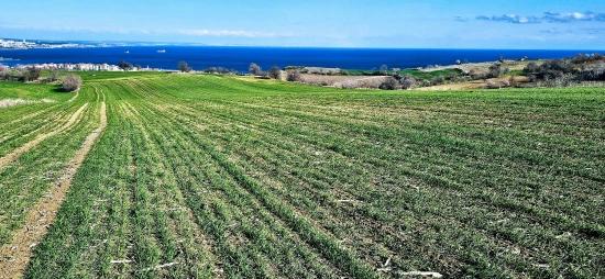 Land With Full Sea And Nature View Suitable For 75 Villa Projects In Tekirdağ Barbarosta