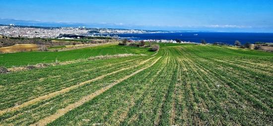 Land With Full Sea And Nature View Suitable For 75 Villa Projects In Tekirdağ Barbarosta