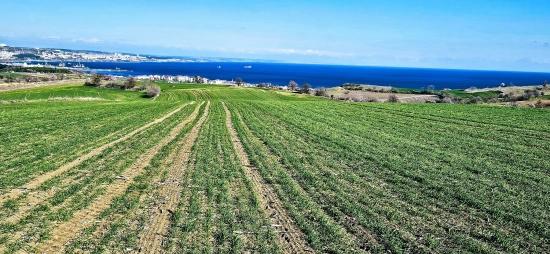 Land With Full Sea And Nature View Suitable For 75 Villa Projects In Tekirdağ Barbarosta