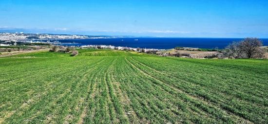 Land With Full Sea And Nature View Suitable For 75 Villa Projects In Tekirdağ Barbarosta