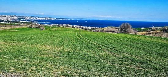 Land With Full Sea And Nature View Suitable For 75 Villa Projects In Tekirdağ Barbarosta