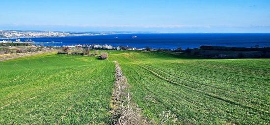 Land With Full Sea And Nature View Suitable For 75 Villa Projects In Tekirdağ Barbarosta