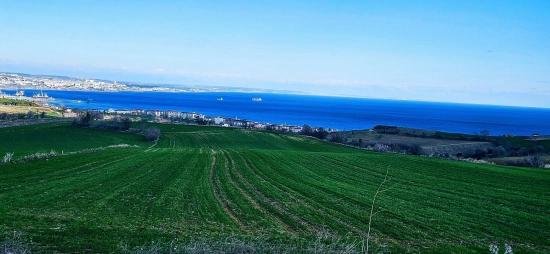 Land With Full Sea And Nature View Suitable For 75 Villa Projects In Tekirdağ Barbarosta