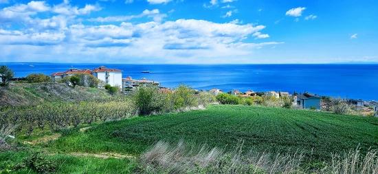 15 Luxury Villas With Unique Full Sea And Nature Views, Located In A Suitable Area For The Project