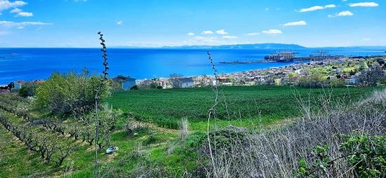 15 Luxury Villas With Unique Full Sea And Nature Views, Located In A Suitable Area For The Project