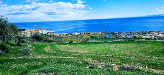 15 Luxury Villas With Unique Full Sea And Nature Views, Located In A Suitable Area For The Project