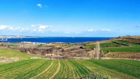 Land Suitable For 8 Villa Projects With Full Sea And Nature Views In Tekirdağ Barbarosta