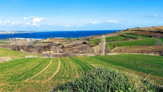 Land Suitable For 8 Villa Projects With Full Sea And Nature Views In Tekirdağ Barbarosta