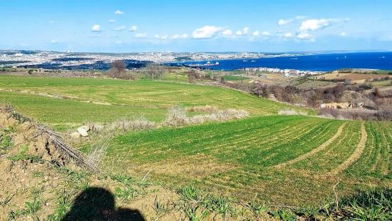 Land Suitable For 8 Villa Projects With Full Sea And Nature Views In Tekirdağ Barbarosta