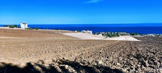 Land Suitable For A Cooperative And Residential Complex Project With 50 Apartments And Full Sea And Nature Views.