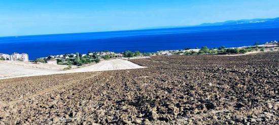 Land Suitable For A Cooperative And Residential Complex Project With 50 Apartments And Full Sea And Nature Views.