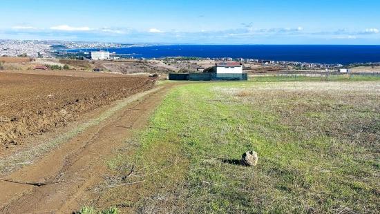 32 Luxury Villas With Great Sea, Nature And City Views, Opportunity Land Suitable For The Project