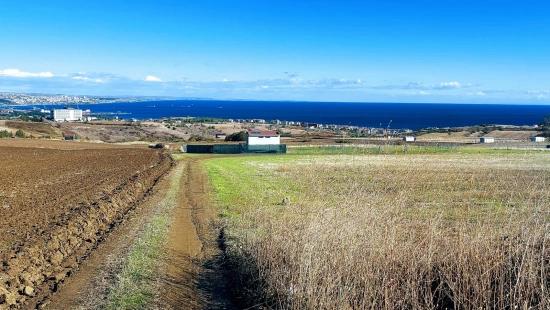 32 Luxury Villas With Great Sea, Nature And City Views, Opportunity Land Suitable For The Project