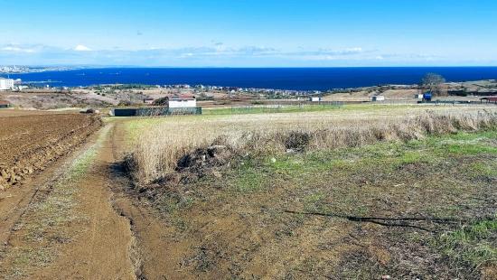 32 Luxury Villas With Great Sea, Nature And City Views, Opportunity Land Suitable For The Project