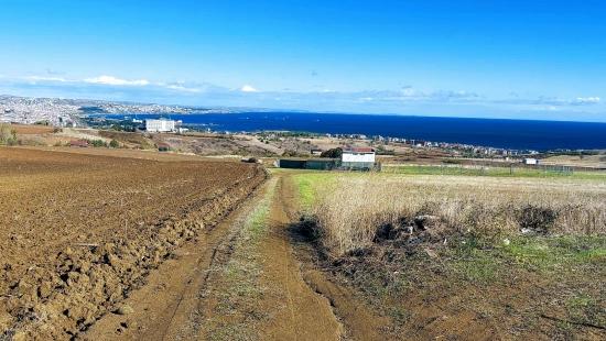 32 Luxury Villas With Great Sea, Nature And City Views, Opportunity Land Suitable For The Project