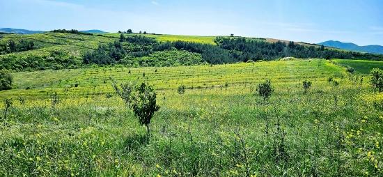 *barter+cash* Build A Farm With State Support* Produce And Grow* Secure Your Future*