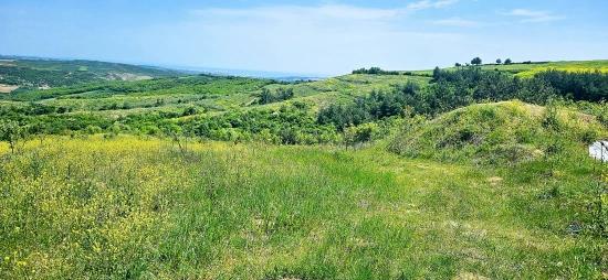 *barter+cash* Build A Farm With State Support* Produce And Grow* Secure Your Future*