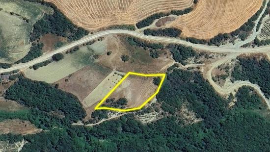Detached Parcel, Not A Single Title Deed, Very Close To The Village Zoning Boundary, Urgent Sale, Search For Opportunity