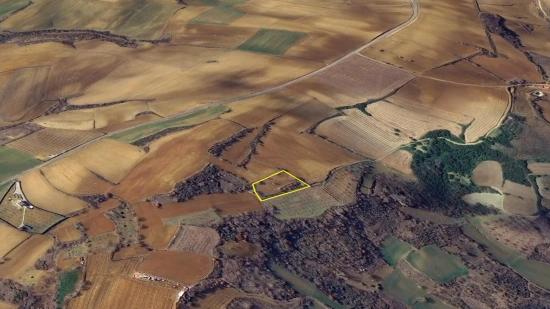Investment Opportunity: Guaranteed High Profit In The Short Term For Those Who Want To Buy And Sell