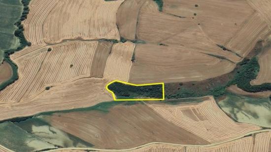 An Unmissable Investment Opportunity: 8,100 M² Of Bargain Land In The Oruç Beyli Neighborhood Of Tekirdağ.