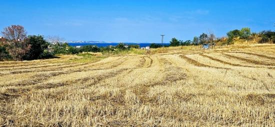 615 M2 Bargain Corner Plot Close To Asyaport