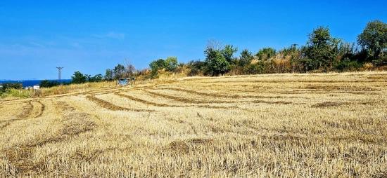 615 M2 Bargain Corner Plot Close To Asyaport