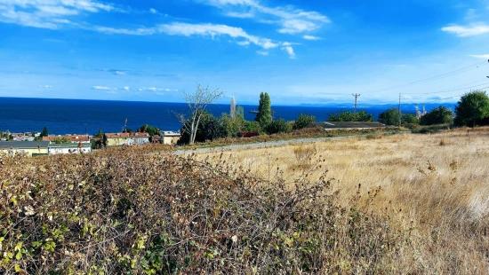 Triplexs Land Is A Great Opportunity For Those Who Want To Build A Detached House With Small Capital
