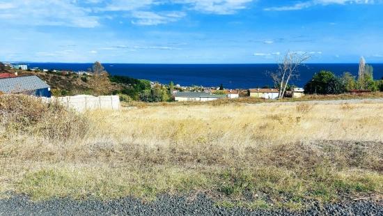 Triplexs Land Is A Great Opportunity For Those Who Want To Build A Detached House With Small Capital