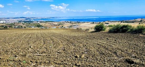 Land Opportunity Suitable For 4 Luxury Villas With Full Sea View