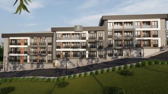 **Dallasserenity** Choose Your Own Payment Options For Our Launch Project**