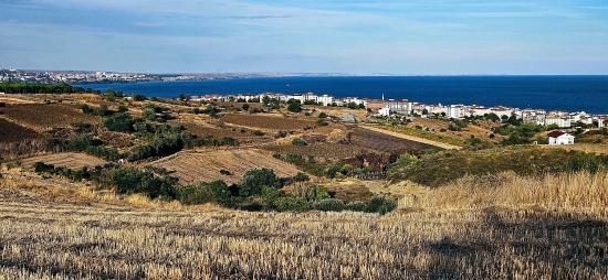 Bargain 1,150 M2 Land With Full Sea View In Tekirdağ Topağaç Neighborhood