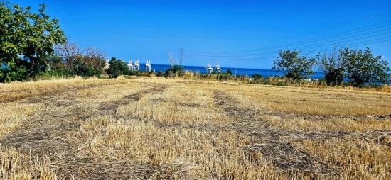 **very Close to the asyaport Port Urgent Residentially Zoned Land for Sale**