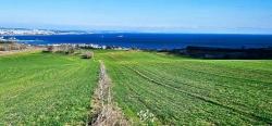 Land With Full Sea And Nature View Suitable For 75 Villa Projects In Tekirdağ Barbarosta