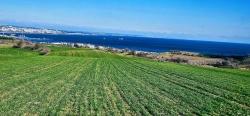 Land With Full Sea And Nature View Suitable For 75 Villa Projects In Tekirdağ Barbarosta